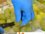Praca w Holandii na pakowni owoców i warzyw od zaraz