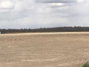Działki budowlane o pow. 1000 m2, gm. Gołuchów