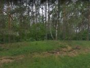Działka rolno-siedliskowa o pow. 5.0888 ha, gm. Buczek