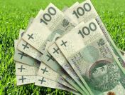 Pożyczka Chwilówka do 7500zł