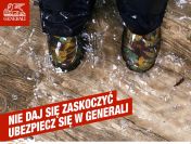 Ubezpieczenia Majątkowe