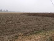 Działka budowlana o pow. 1200 m2, gm. Nowe Skalmierzyce