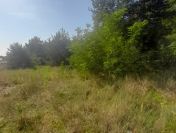 Działka budowlana o pow 5900 m2, Borek