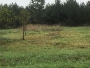 Działka rolna z war. zabudowy o pow. 5200 m2, Rożdżały