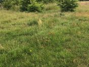Działka budowlana o pow. 589m2, Opatówek