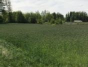 Działka budowlana o powierzchni 2800m2, Borek