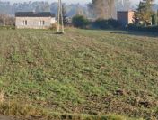 Działka rolna z zabudowaniami o pow. 26.000m2, Opatówek