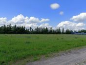 Działka budowlana o pow. 2500 m2, Piotrków Trybunalski