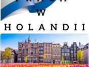 Produkcja kanapek do samolotów - Holandia