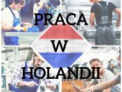 Operator maszyn w przetwórstwie spożywczym HOLANDIA