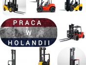 Operator wózka widłowego przedniego i wysokiego składu HOLANDIA