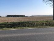 Działki inwestycyjne o pow. 2 ha i 2.5 ha, gm. Żelazków