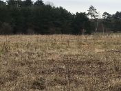 Działki budowlane o pow. 1177 m2 i 1255 m2, Murowaniec – Osuchów