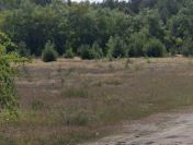Działka budowlana o pow. 1000 m2, Osuchów – Murowaniec