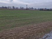 Działka budowlana 1200 m2, Wojciechówka