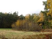 Działka budowlana 4200 m² – Zbiersk, gm. Stawiszyn