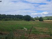 Działki budowlane o pow. 1177 m2 i 1255 m2, Murowaniec - Osuchów