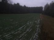 Działka budowlana z drogą o pow 5900 m² – Saczyn