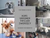 Fryzjer zwierzęcy GROOMER- 40h kurs od podstaw