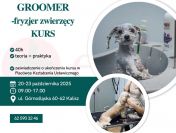 Fryzjer zwierzęcy GROOMER- 40h kurs od podstaw