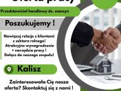 PRZEDSTAWICIEL HANDLOWY DS. MASZYN – KALISZ