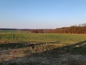 Działki budowlane od 990m2-1121m2, Kamień