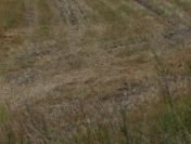 Działka budowlana o powierzchni 3261m2, Stobno