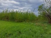 Działka rolna  o pow. 1769 m2, Chełmce- gm. Opatówek