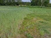 Działka budowlana o powierzchni 3261m2, Stobno