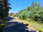 Działka budowlana o powierzchni 1686 m2, Prażuchy Nowe