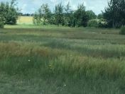 Działka budowlana o powierzchni 1452m2, gm. Szczytniki