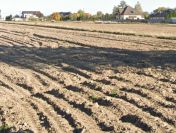 Działka budowlana na planie zagospodarowania o pow. 1100m2, Os. Piwonice