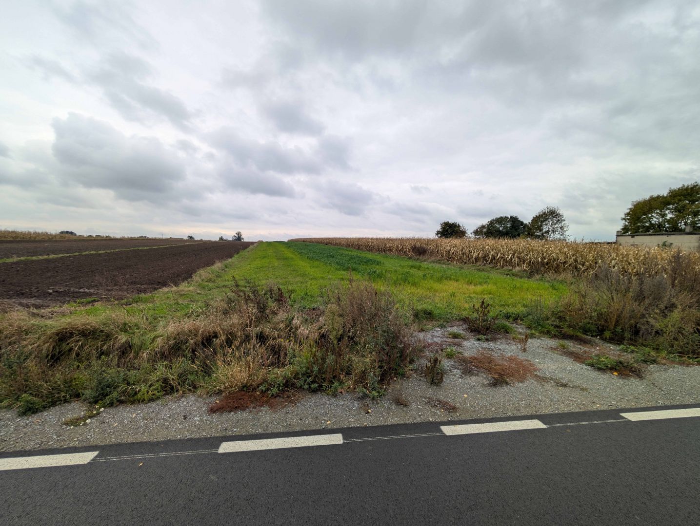 Działki rolne o powierzchni 3773m² i 3925m², Małgów, obręb Strzałków, gm. Lisków Małgów - Zdjęcie 1