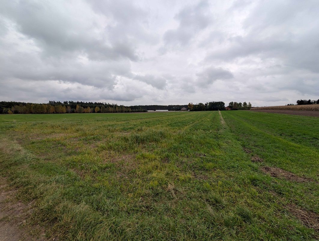 Działka rolna o powierzchni 7393m², Nadzież, obręb Strzałków, gm. Lisków Nadzież - Zdjęcie 1