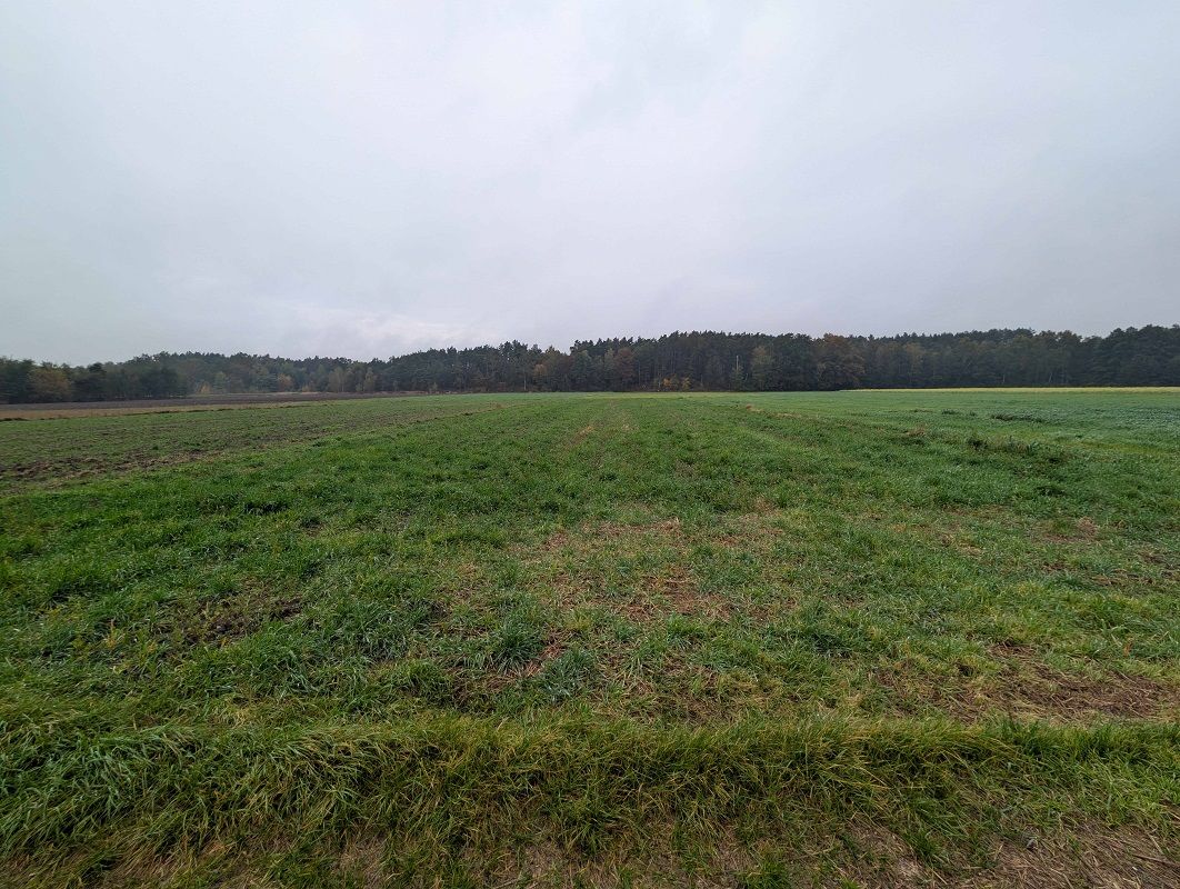 Działka rolna o powierzchni 1700m², Chrusty, gm. Lisków gm.Lisków - Zdjęcie 1