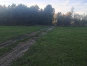 Działka budowlana z warunkami o pow. 1400m2, Dzierzbin – gm. Mycielin