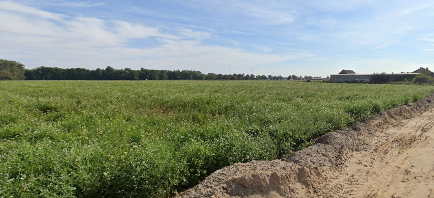 Działki budowlane w Chotowie –  blisko Kalisza i Nowych Skalmierzyc Chotów - Zdjęcie 1