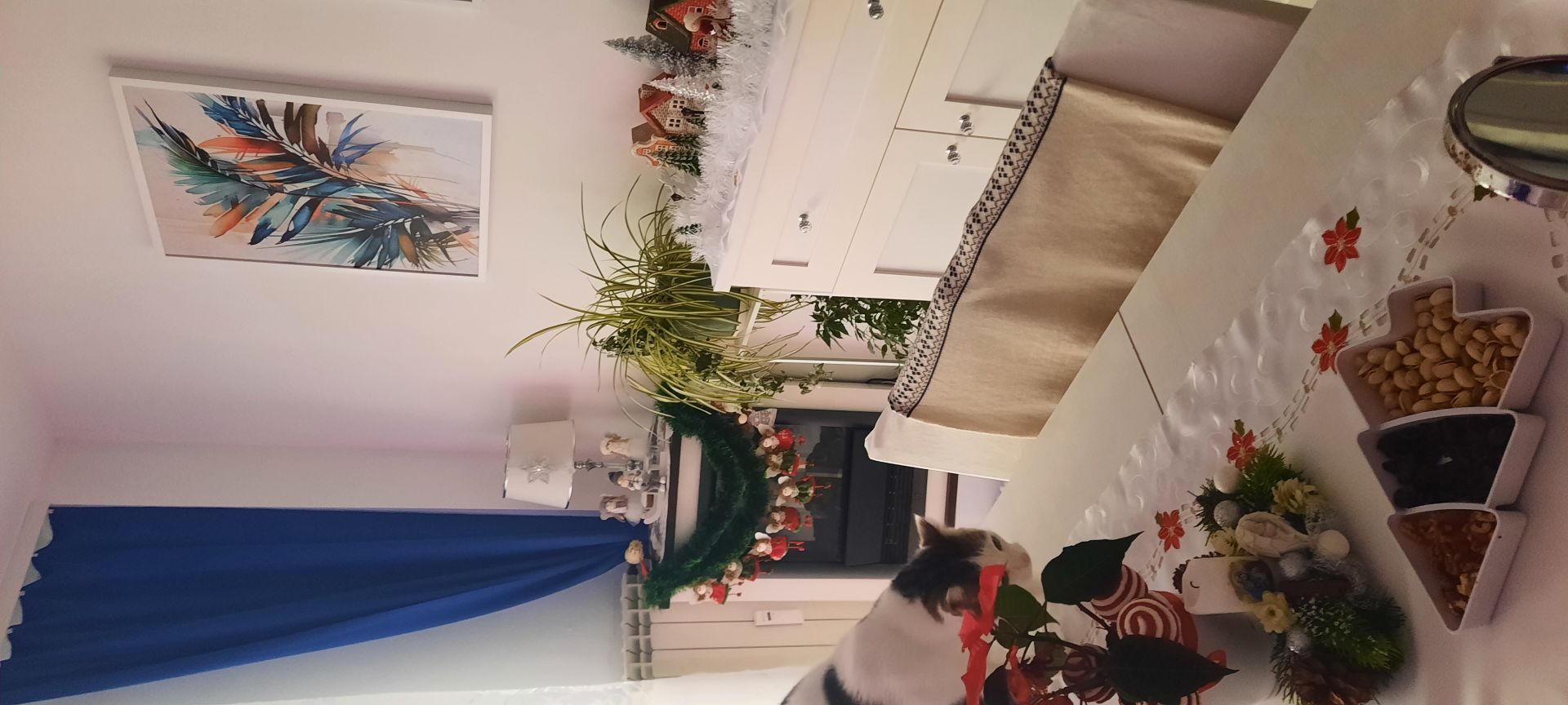 Sprzedam mieszkanie 3 pokojowe Kalisz - Zdjęcie 1