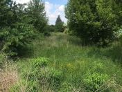 Działka budowlano-inwestycyjna 1523 m² – ul. Wrocławska, Kalisz