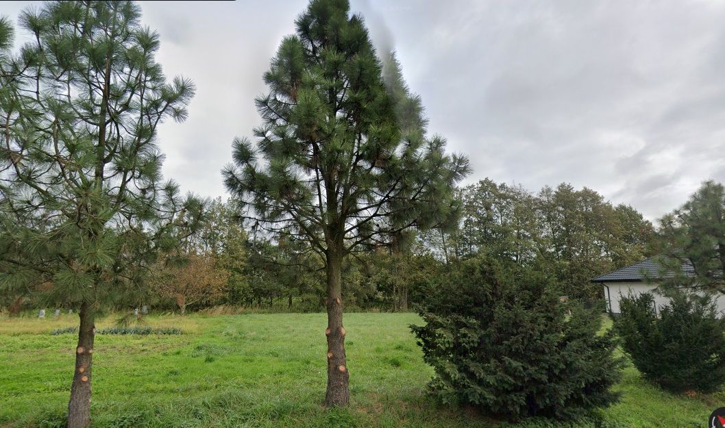 Działka budowlana o pow. 1450 m2, Skarszewek Skarszewek - Zdjęcie 1