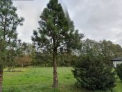 Działka budowlana o pow. 1450 m2, Skarszewek