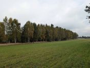 Działki rolne o powierzchni 1700m², 2581m2, 3088m², Strzałków, gm. Lisków