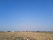 Grunt rolny 2,07 ha, Kolonia Skarszewek, gmina Żelazków , 4 km od Kalisza