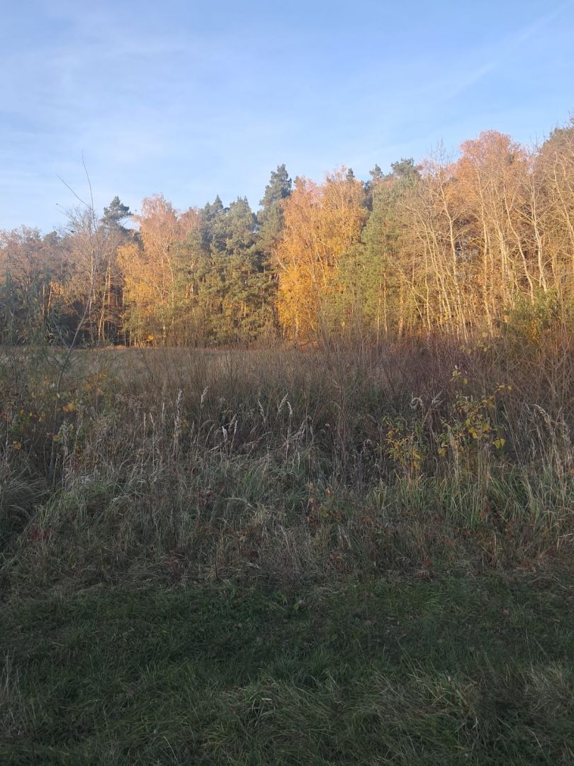 Działka budowlana z warunkami o pow. 1400m2, Dzierzbin – gm. Mycielin Dzierzbin - Zdjęcie 1