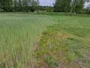 Działka budowlana o powierzchni 3261m2, Stobno