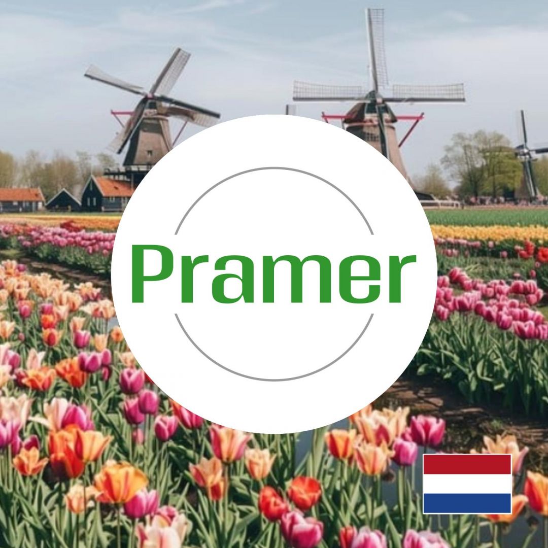 Kierowca / mycie myjką ciśnieniowa  - praca w Holandii  - Zdjęcie 1