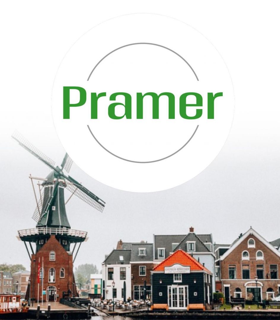 Pracownik selekcji tulipanów na polu  - praca w Holandii  - Zdjęcie 1