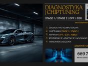 Chip Tuning EGR DPF SCR ADBLUE