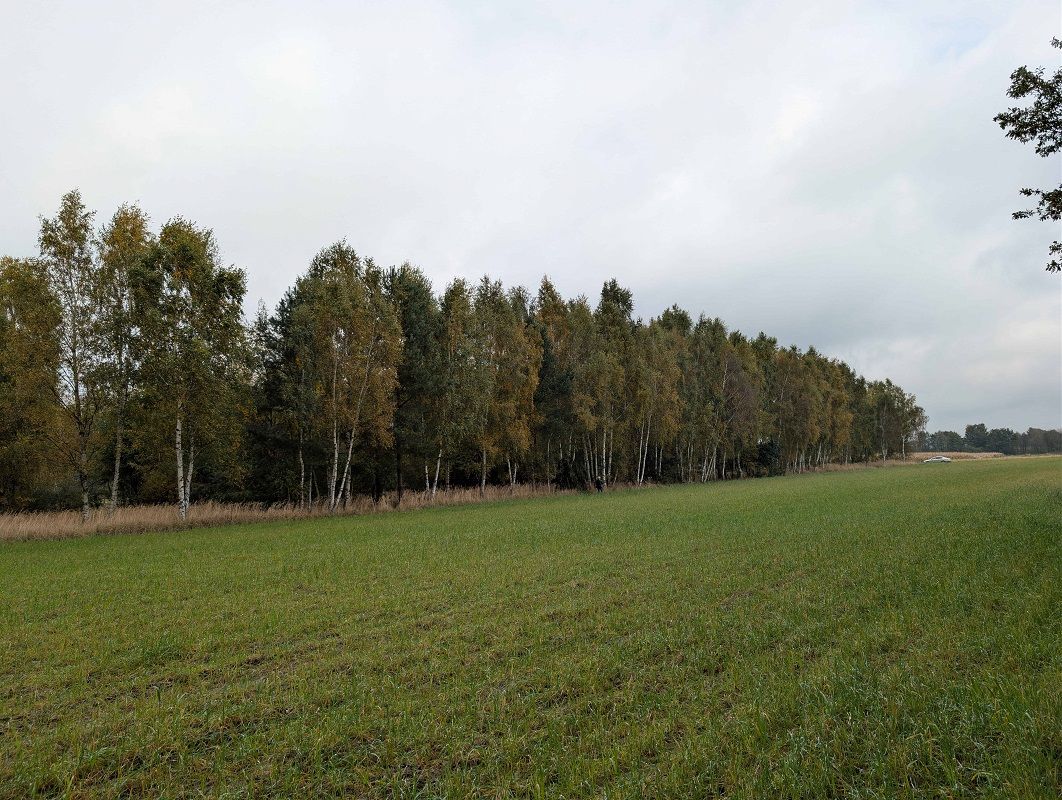 Działki rolne o powierzchni 2581m2, 3088m², Strzałków, gm. Lisków gm.Lisków - Zdjęcie 1
