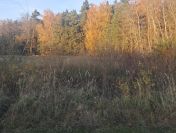 Działka budowlana z warunkami o pow. 1400m2, Dzierzbin – gm. Mycielin